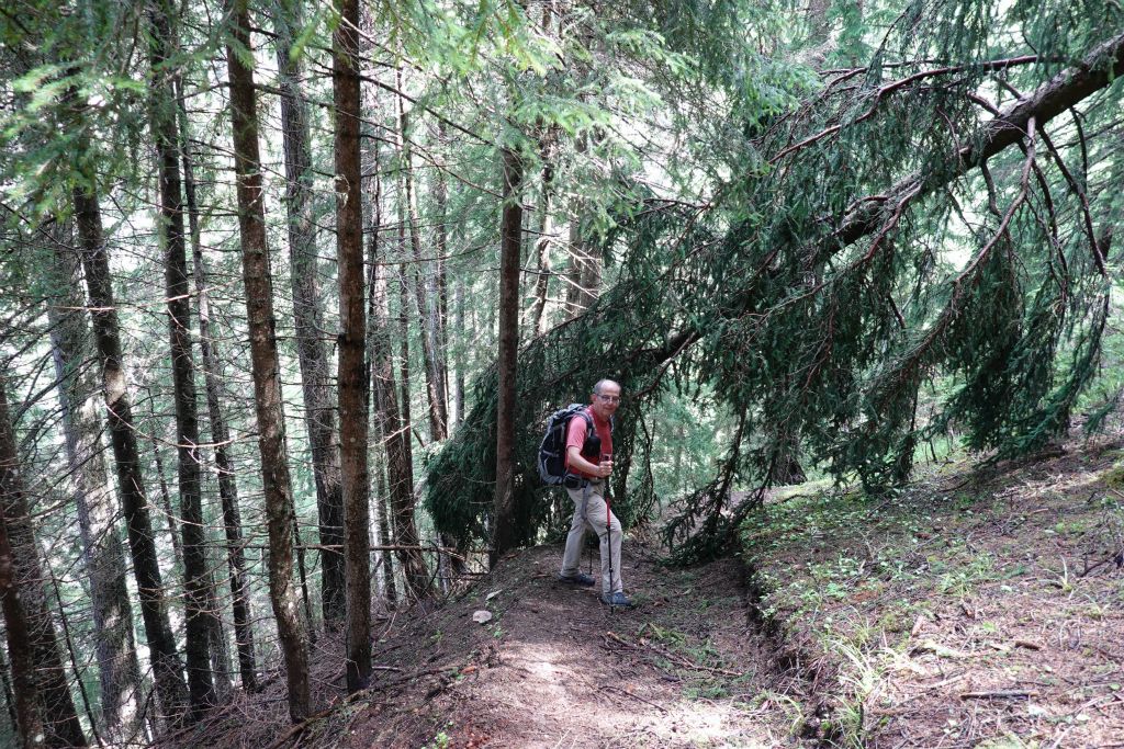 Le chemin n'a pas encore été déblayé